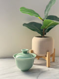 YUE Tea Brewer — Gloss